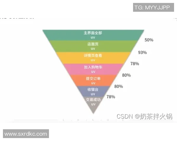 深圳飞盘队战术解析：从基础到进阶的全面剖析与实战应用